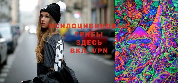 мдпв Алзамай