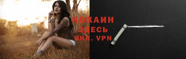 дмт Абаза