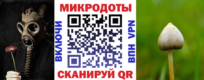 ОМГ ОМГ ТОР  Нефтегорск  Галлюциногенные грибы Psilocybine cubensis 