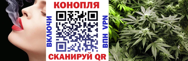 Конопля индика  купить   omg онион  Нефтегорск 